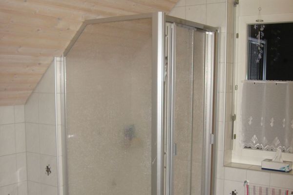 sanierung-duschkabine-017FA13CCA-237C-6D3E-DF35-99F3677A7914.jpg